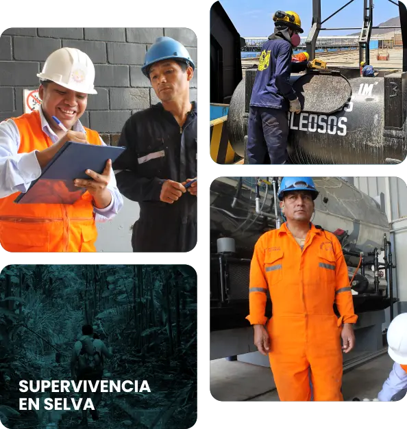 servicios imagen CACP servicios imagen CACP